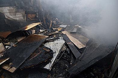 《成长物语：永恒树之歌》发售日期预告片 11月16日发售 